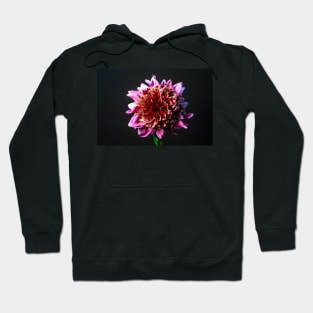 Mambo Dahlia Still LIfe Hoodie